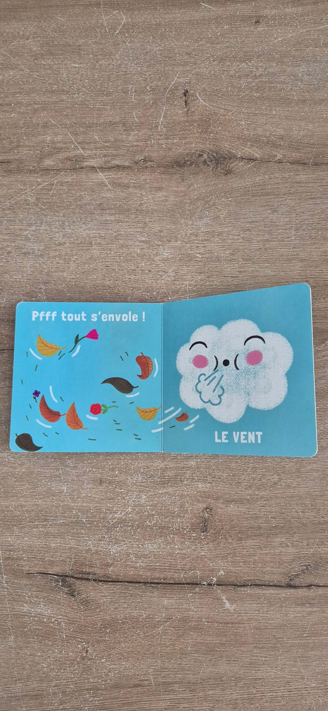 Livre Le temps qu'il fait  – photo 6